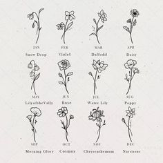 the different types of flowers are shown in black and white on a sheet of paper