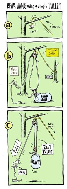 a comic strip with the words bear hang using a simple pulley and an image of a