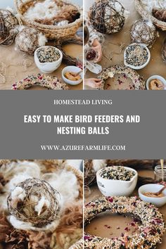 some bird feeders and nesting balls with text overlay that reads homemade living easy to make bird feeders and nesting balls