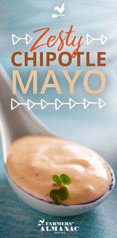 a spoon with some food on it and the words zesty chipotle mayo