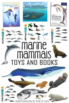 marine mammals toys and books are shown in this book cover art print featuring sea animals