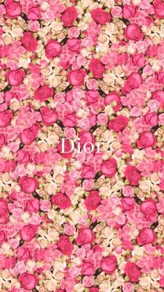 pink roses with the words dior in white lettering on top of it and an image of