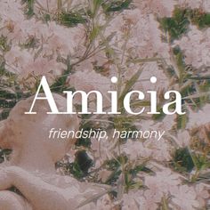 the words amicia are in front of an image of flowers and a statue with a bird on it