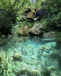 the water is crystal clear and blue