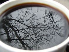 a cup of coffee with trees reflected in it