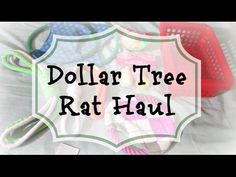 the dollar tree rat haul is on display