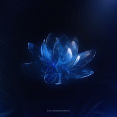 a blue glass flower in the dark with light shining on it's petals and leaves