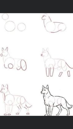 an image of how to draw animals with different shapes and sizes for children's drawings