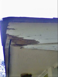 a bird is perched on the corner of a building with peeling paint and water damage