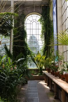 the inside of a building with many plants and potted plants in front of large windows