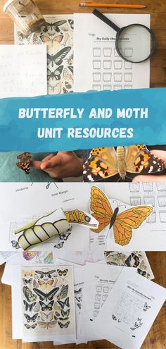 butterfly and moth unit resources on a table