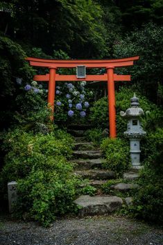 Japanese Gate, Japanese Forest, Japan Landscape, Japanese Garden Design, Japanese Landscape