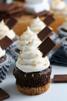 chocolate cupcakes with whipped cream on top