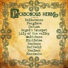 Wiccan Spell Book, Poisonous Plants, Witch Spell Book, Herbal Magic, Witch Stuff