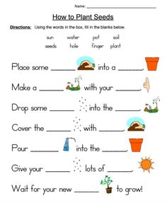 plant seeds worksheet for kids to learn how to grow plants in the garden