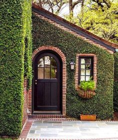 a house covered in green ivy with a black door and window on the outside wall