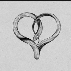 a drawing of two snakes in the shape of a heart