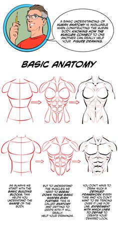 how to draw the human body with this step - by - step drawing guide for beginners