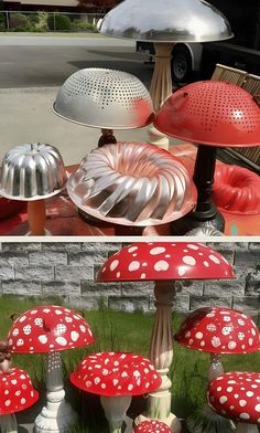 several different types of mushrooms on display in the grass