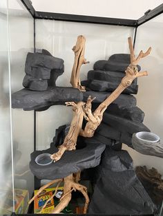 a display case filled with rocks and driftwood