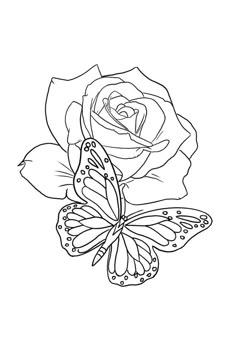 a black and white drawing of a rose with a butterfly sitting on top of it