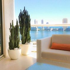 two potted plants sitting on top of a window sill next to a couch