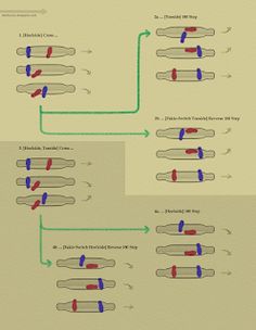 an image of a diagram showing how to use toothbrushes