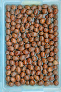 a plastic container filled with lots of nuts