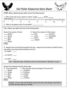 the owl pellet dissection data sheet is shown in black and white, with numbers