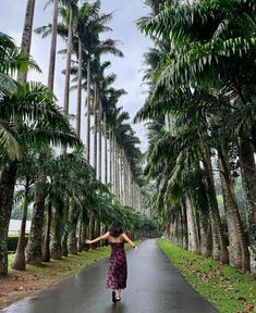 Dreaming of paradise? 🌴✨
Explore the breathtaking beauty of Sri Lanka and make 2025 your year of adventure! 🏞️🌊
📍 Where will your next journey take you? 💼
#VisitSriLanka #CleanSriLanka  #Travel2025 #SerendibAdventures #ExploreMore #Wanderlust
📸 Credit to the respective owner.