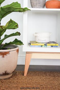 a potted plant sitting on top of a wooden table next to a white shelf