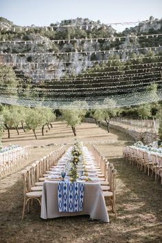 a long table with blue and white cloths is set up in the middle of an olive grove