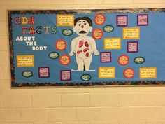 a bulletin board with an image of a body and the words odd things about the body on it