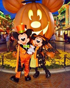 mickey and minnie mouse in front of a pumpkin