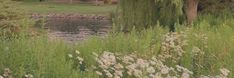 there is a bench in the grass by the water's edge with trees and flowers around it