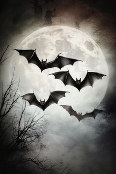 three bats flying in front of a full moon