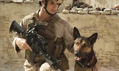 Hollywood loves a good dog story, and so do moviegoers, as evidenced by such hits as 'Old Yeller,' 'Sounder,' and 'Marley & Me.' Now comes 'Max,' a coming-of-age tale about a young boy who inherits a military dog after his brother dies on the frontlines in Afghanistan. Max Movie, Dog Hero, Robbie Amell, Military Working Dogs, Malinois Dog, Recent Movies, Military Dogs, 2015 Movies