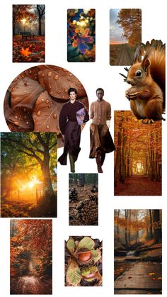 Warm light, warm colors, cinnamon, nuts Cinnamon Nuts, Autumn Lights, Late Fall, Warm Light, Warm Colors, Autumn Leaves, Nuts, Cinnamon, Color