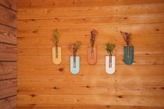 four planters are hanging on the wooden wall