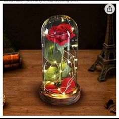 a red rose in a glass dome with fairy lights on the bottom and behind it