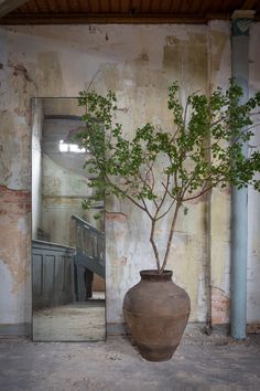 a vase with a tree in it sitting next to a mirror