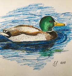 a drawing of a duck floating on top of the water with blue and green colors