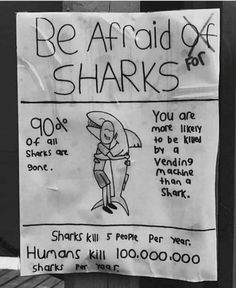 a sign posted on the side of a wooden fence warning people to be afraid of sharks