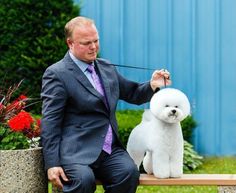 a man in a suit sitting on a bench with a white dog next to him