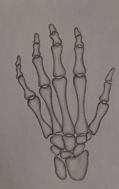 a drawing of a skeleton hand with three fingers