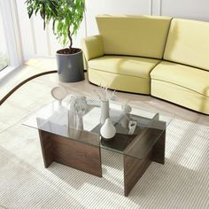 a living room with a couch, coffee table and potted plant on the floor