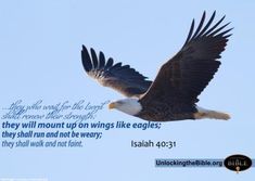 an eagle flying through the sky with a bible verse