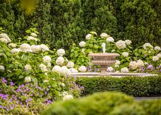 a fountain surrounded by bushes and flowers