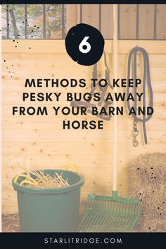 Are flies driving your horse crazy? Here are some tips to keep flies and biting bugs away from your horse and barn this summer. Laughing Horse, Horse Shed, Horseback Riding Tips, Funny Horse Videos, Fly Spray, Fly Control