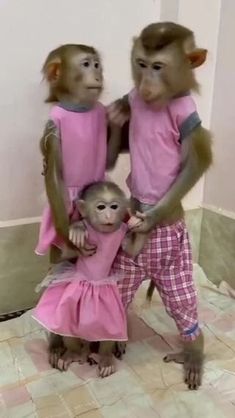 two monkeys are standing next to each other in pink pajamas and one monkey is sitting on the ground